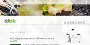 Beitragsbild des Blogbeitrags Warum eigentlich nicht ChatGPT? Beantwortet von ChatGPT.