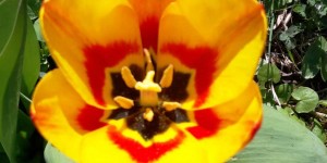 Beitragsbild des Blogbeitrags Glaubenssätze erkennen und wandeln