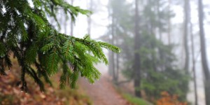 Beitragsbild des Blogbeitrags Stressbewältigung: Wie du deinen Kopf abschalten kannst