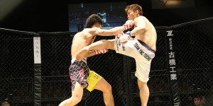 Beitragsbild des Blogbeitrags Welche Kampfsportarten sind optimal für MMA? 