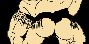 Beitragsbild des Blogbeitrags Sumo – traditionelles japanisches Ringen 