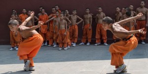 Beitragsbild des Blogbeitrags Tierstile im Kung-Fu -Taugen sie im Kampf?