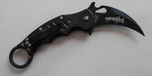 Beitragsbild des Blogbeitrags Karambit das gefährlichste Kampfmesser der Welt? 