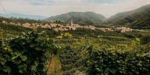 Beitragsbild des Blogbeitrags Sprudelnde Genüsse an der Proseccostraße