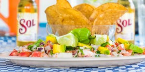 Beitragsbild des Blogbeitrags Rio Lagartos – Ein perfekter Ort für Fischliebhaber!