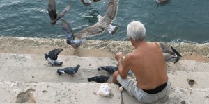 Beitragsbild des Blogbeitrags Ob Möwen, ob Tauben 