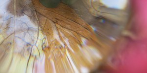 Beitragsbild des Blogbeitrags Kürzlich habe ich mich an meine gläserne Kugel erinnert …