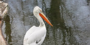 Beitragsbild des Blogbeitrags Eitelkeiten 