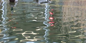 Beitragsbild des Blogbeitrags Rote Beine gespiegelt