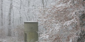 Beitragsbild des Blogbeitrags Tarnen und täuschen