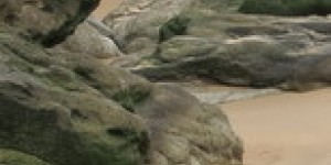 Beitragsbild des Blogbeitrags Lesezeichen für Vogelfreunde