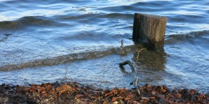 Beitragsbild des Blogbeitrags Blau