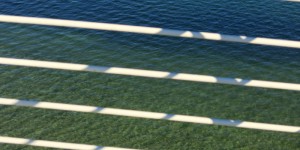 Beitragsbild des Blogbeitrags Blau-grün — Licht-Schatten