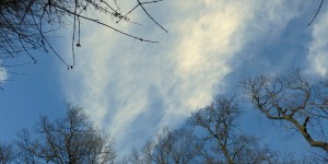 Beitragsbild des Blogbeitrags Wolken eigentlich im Winter