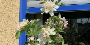 Beitragsbild des Blogbeitrags Selbstverpflegung ? 