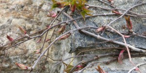 Beitragsbild des Blogbeitrags Anklammern, festhalten, überleben