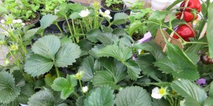 Beitragsbild des Blogbeitrags Dienstag 28. April 2020