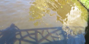 Beitragsbild des Blogbeitrags Verschwimmender Grund