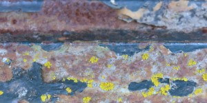 Beitragsbild des Blogbeitrags Kleine Schnippel- und Drehexkurse
