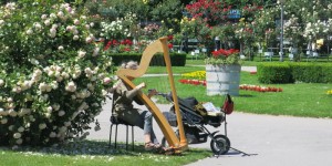 Beitragsbild des Blogbeitrags Rosenharfe, die zweite