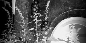 Beitragsbild des Blogbeitrags Spieglein, Spieglein unterm Tor