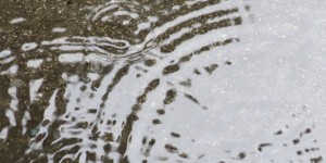 Beitragsbild des Blogbeitrags Der Dienstag dichtet, drei