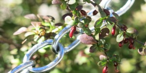 Beitragsbild des Blogbeitrags Welcher Titel hier wohl passt?