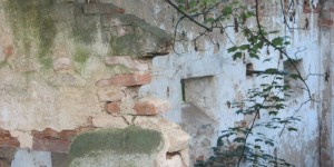 Beitragsbild des Blogbeitrags Dornröschen ist gerade aufgewacht.