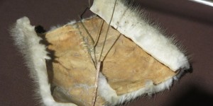Beitragsbild des Blogbeitrags An der Technik des Nähens hat sich in 10.000 Jahren nicht viel verändert