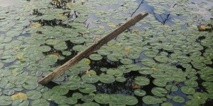 Beitragsbild des Blogbeitrags Wäre auch ein passendes Foto zum Geschichtenschreiben