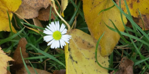 Beitragsbild des Blogbeitrags Photo der Woche, neun – Lebensfreude