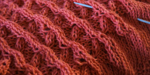Beitragsbild des Blogbeitrags Biologische Strickanleitung