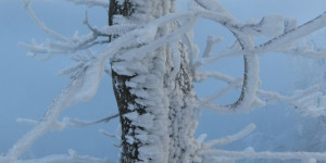 Beitragsbild des Blogbeitrags Foto der Woche, sechszehn