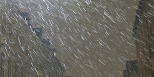 Beitragsbild des Blogbeitrags Alte Häuser, junger Schnee