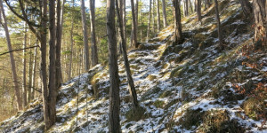Beitragsbild des Blogbeitrags Freitag 12. Februar 2021