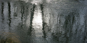 Beitragsbild des Blogbeitrags Leuchten 