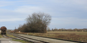 Beitragsbild des Blogbeitrags Ein trostloser Anblick …