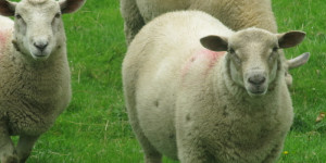 Beitragsbild des Blogbeitrags Impulswerkstatt – März Zwischenstand 