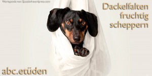 Beitragsbild des Blogbeitrags Alex, die dritte – ABC Etüde