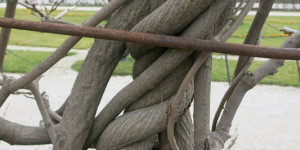 Beitragsbild des Blogbeitrags Verschlungen