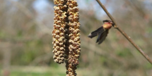 Beitragsbild des Blogbeitrags Sonntag 4. April 2021 