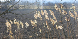 Beitragsbild des Blogbeitrags Mittwoch 8. April 2021