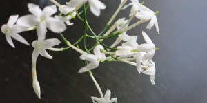 Beitragsbild des Blogbeitrags Samstag 17. April 2021