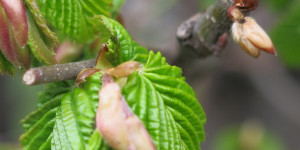 Beitragsbild des Blogbeitrags Begegnungen 1/3 