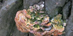 Beitragsbild des Blogbeitrags Begegnungen 3/3 