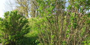 Beitragsbild des Blogbeitrags Sonntag 25.April 2021- Probleme am Horizont