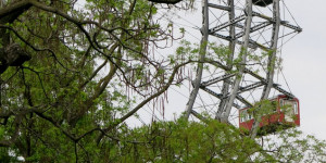 Beitragsbild des Blogbeitrags Im Prater blüh´n wieder die Bäume