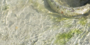 Beitragsbild des Blogbeitrags Was hält das Schiff?