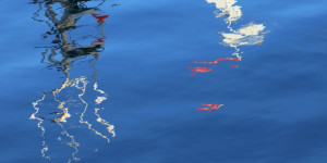 Beitragsbild des Blogbeitrags Mittwoch 7.Juli 2021