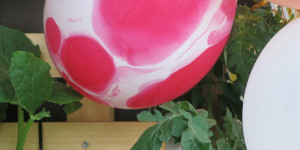 Beitragsbild des Blogbeitrags Rosa und schwebend 